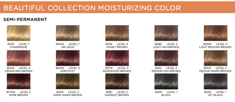 Clairol Professional Beautiful Collection Moisturizing Color Semi-Permanent Hair Color 3.0oz